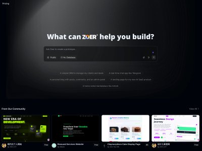 Zoer.ai