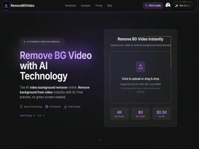 remove bg video