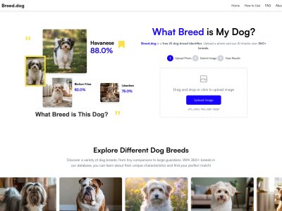 Breed.dog - AI Dog Breed Identifier
