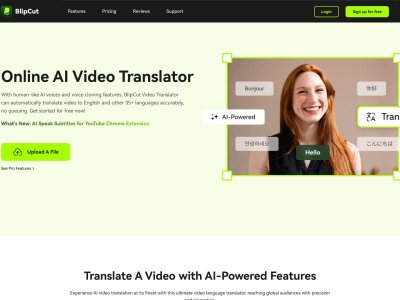BlipCut AI Video Translator
