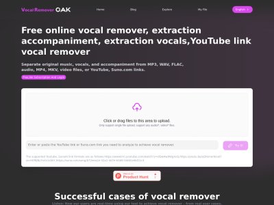 Vocal Remover Online